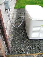 generator 2010